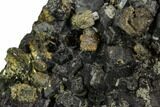 Black Andradite (Melanite) Garnet Cluster - Morocco #107904-1
